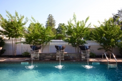 Bellmore Project 15